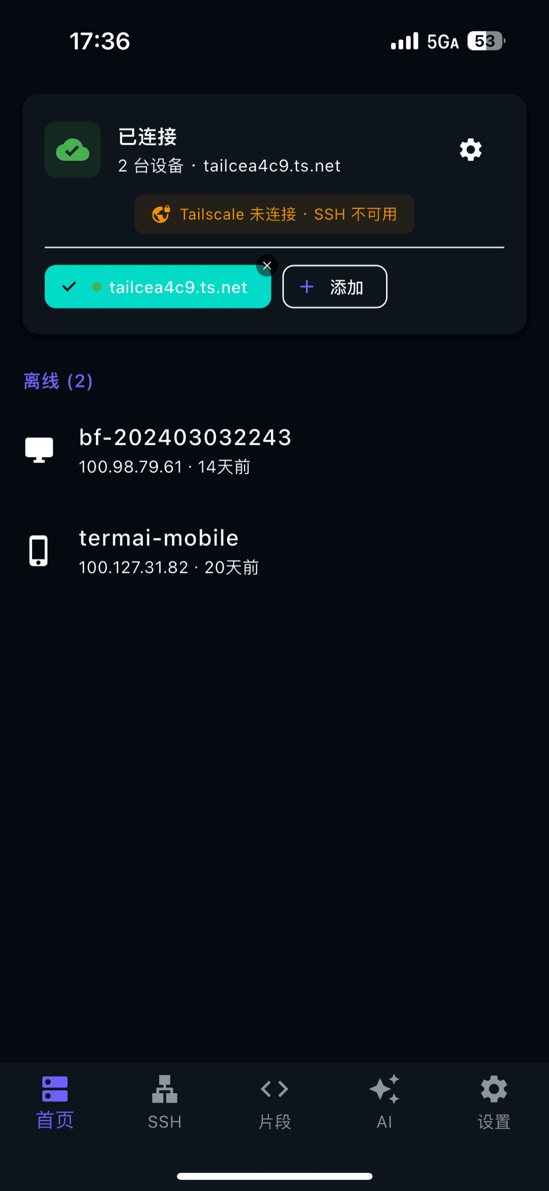 TermAI 內的 Tailscale 設定頁，顯示已連線的裝置